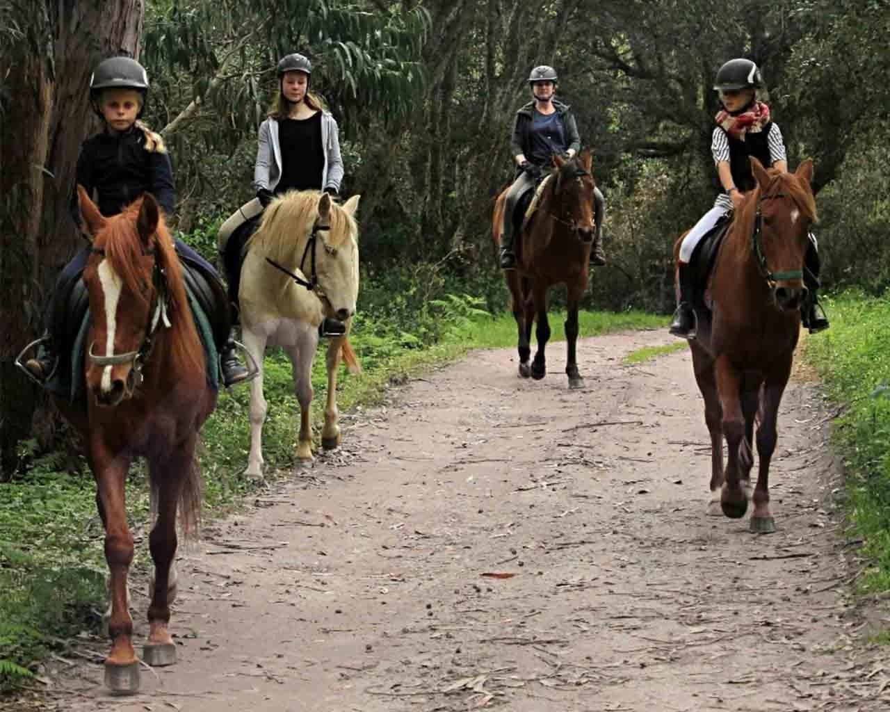 Quinta Pedagogica Da Samoqueirinha - Duna Parque Resorts & Hotels Vila Nova de Milfontes Zewnętrze zdjęcie
